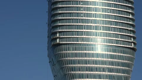 ANT11+Pond 5 (2) Stock Footage 302803341