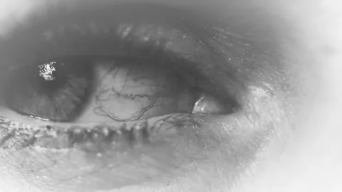 ANT11+Pond 5 (3) Stock Footage 302803404