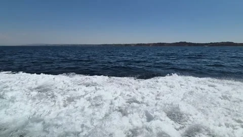 ANT11+Pond 5 (4) Stock Footage 302801474