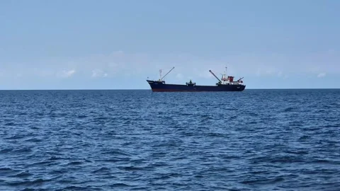 ANT11+Pond 5 (5) Stock Footage 302802291