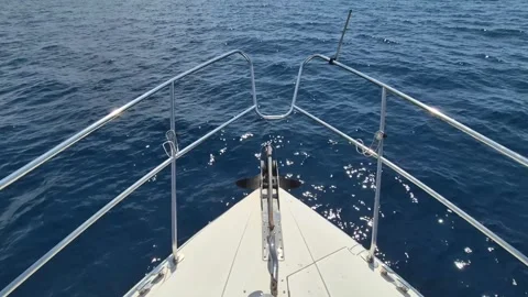 ANT11+Pond 5 (6) Stock Footage 302800568