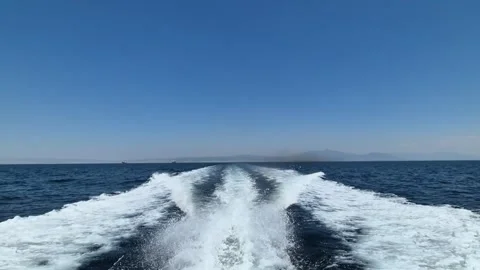 ANT11+Pond 5 (7) Stock Footage 302800542