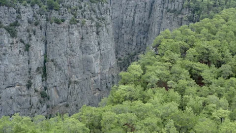 Antalya Canyon Cliffs and Pine Forest Aerial Vídeos de archivo 149154370