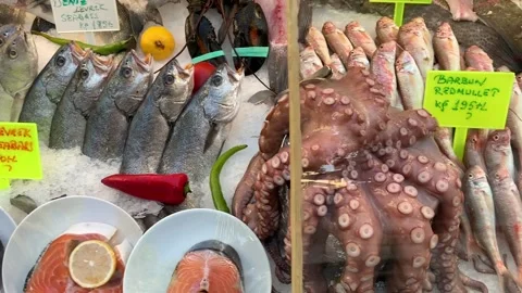 Antalya Seafood selection Stock Footage 139103353