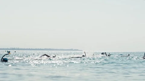 Antalya, Turkey - July 08, 2023. Swimmers in the sea, open sea swimming training Stock Footage 247563243