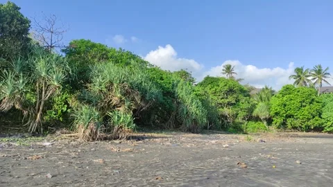 Antap Beach in Tabanan, Bali. 스톡 동영상 245402597