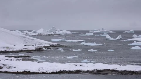 Antarctic expedition. Icebergs float in water near land. Antarctic Peninsula 스톡 동영상 333246304