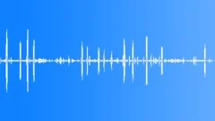 Antarctic Fur Seal CU Sound Effect