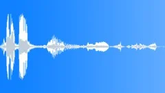 Antarctic Fur Seal CU Sound Effect