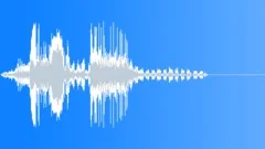 Antarctic Fur Seal CU Sound Effect