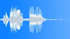 Antarctic Fur Seal CU Sound Effect