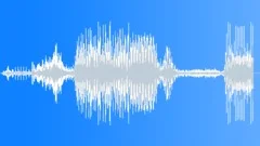 Antarctic Fur Seal CUSound Effect