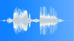 Antarctic Fur Seal PupSound Effect