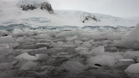 Antarctic Iceberg bits 스톡 동영상 106937205