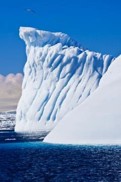 Antarctic iceberg Stock Photos
