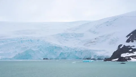 Antarctica Continent Large Ice Wall Glacier Floating Ice Iceberg Birds Stock Footage 277919472