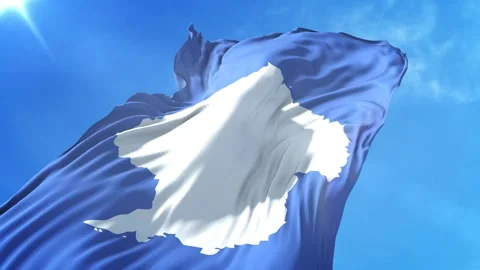 Antarctica Flag Low Angle View Stock Footage 295683776