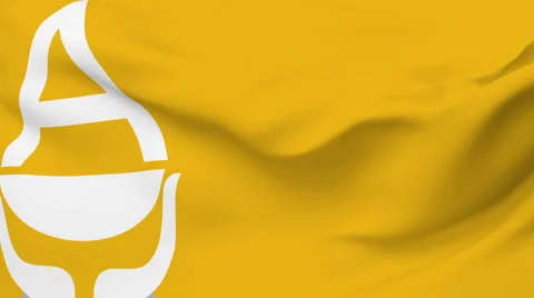 Antarctica flag slowly waving.  Stock Footage 1055973