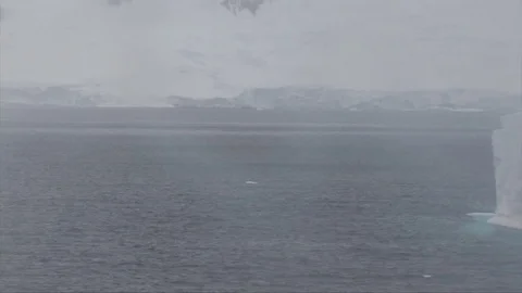 Antarctica - large iceberg passing by Stock Footage 73902243