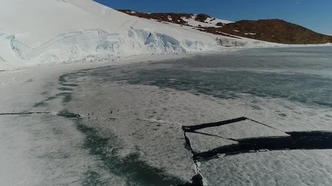 Antarctica penguins from the air Stock Footage 102443685