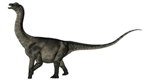 Antarctosaurus dinosaur - 3D render Stock Illustration