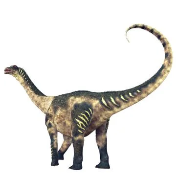 Antarctosaurus Dinosaur Tail Stock Illustration