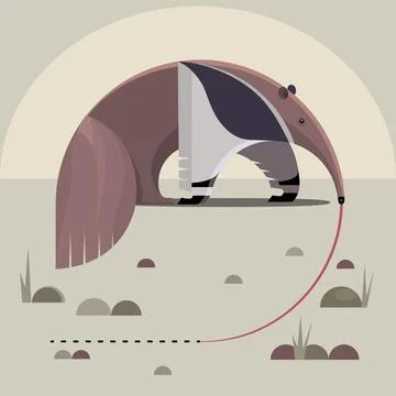 Anteater Stock Illustration