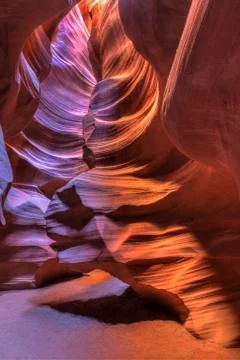 Antelope Chimney Tree Foto stock