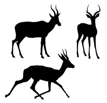 Antelope Stock Illustration