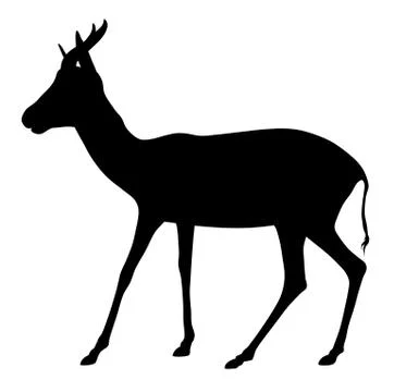 Antelope Stock Illustration
