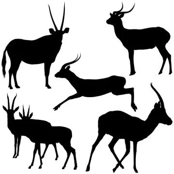 Antelope Silhouettes Stock Illustration