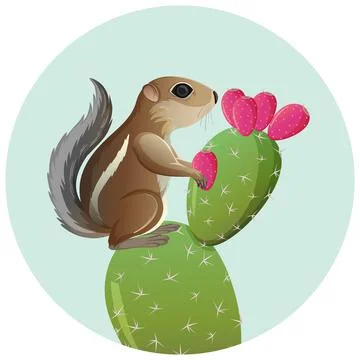 Antelope squirrel standing prickly cactus isolated on white background 스톡 일러스트