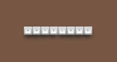 Antelope text on a 3d keyboard button with shadow concept series Stock Illustration