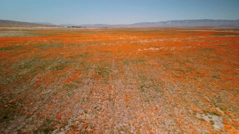 Antelope valley, California, Stock Footage 196356590