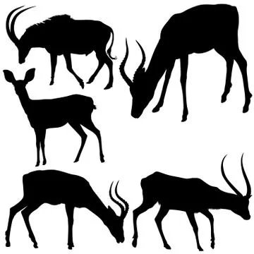 Antelopes Silhouettes Stock Illustration