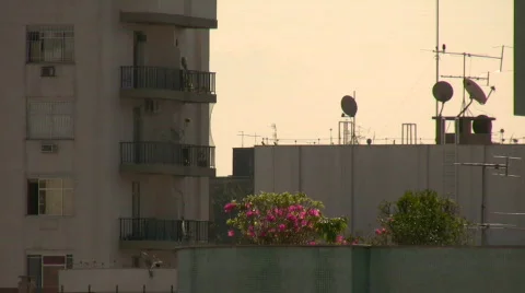 Antenna Video stock 491469