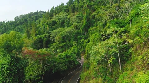 Antenna over a winding forest road in the Dominican Republic - drone video. Stock Footage 246408024