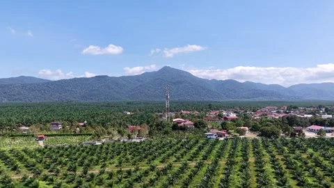 Antenna tower in green landscape under open sky Stock-Footage 337543689