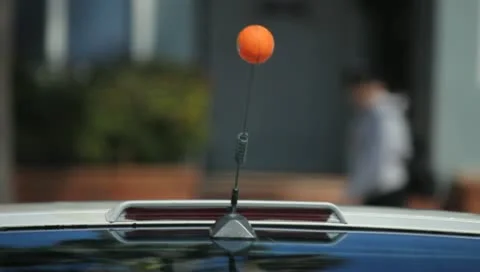 Antennae Ball 2 Stock Footage 11360335