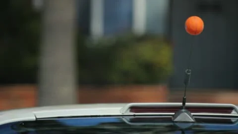 Antennae Ball Stock Footage 11360329