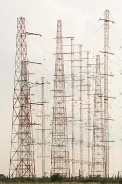 Antennas forest Stock Photos