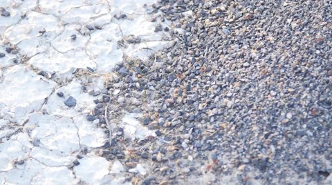 Anthill and salt flats macro shot Vídeos de archivo 53284793