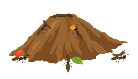 An anthill. Ants in burrows and passages with queen uterus, larvae, make stocks Stock Illustration