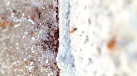 Anthill of stones 2 Stock Footage 22924369