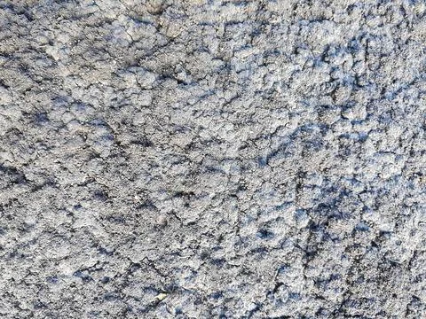 Anthill top view Stock Photos