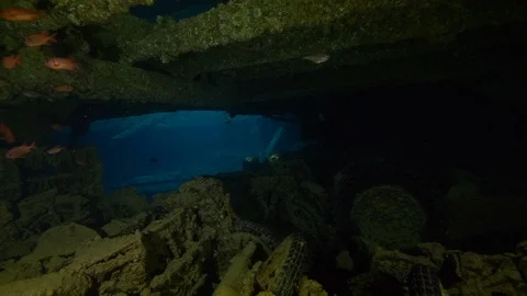 Anthios, motorcycles, diver in the hold of the wreck Thistleghom,Red Sea,Egypt Stock Footage 105458915