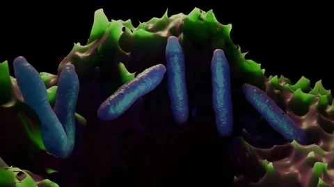 Anthrax bacteria Stock Footage 305632305