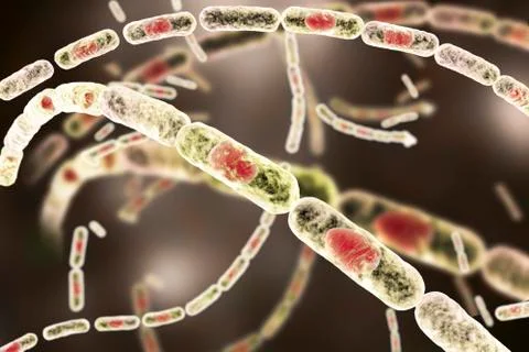 Anthrax bacteria, illustration Stock Illustration