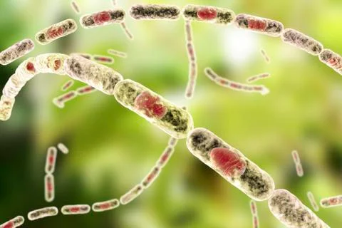 Anthrax bacteria, illustration Stock Illustration