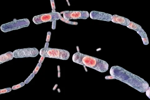 Anthrax bacteria, illustration Stock Illustration